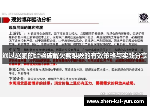 通过赵鹏的经验破解欠薪难题的有效策略与实践分享